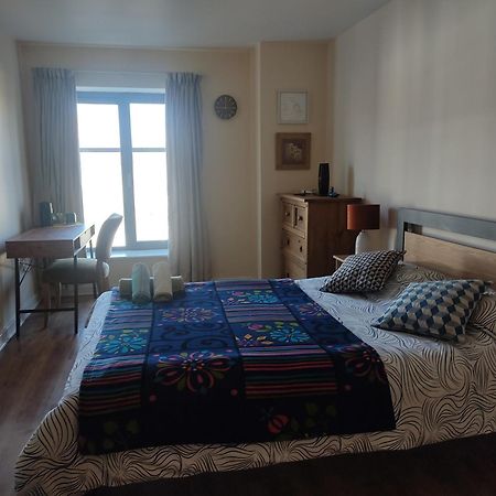 Swallows Nest - Spacious Bright Double Bedroom With Ensuite Bathroom Dublin Extérieur photo