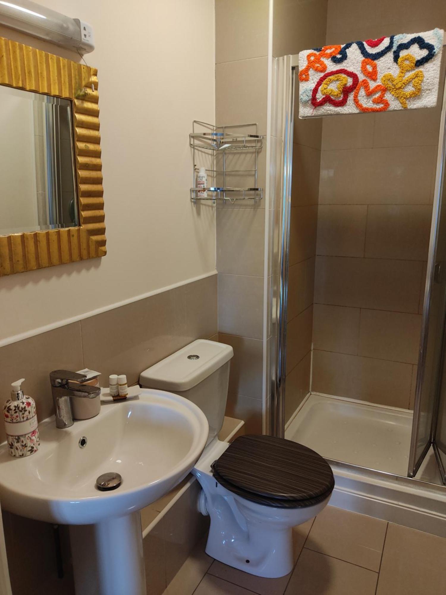 Swallows Nest - Spacious Bright Double Bedroom With Ensuite Bathroom Dublin Extérieur photo